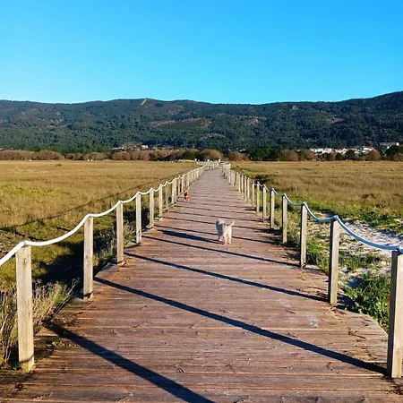 Mar De Ardora